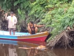 Diduga Diterkam buaya, Jasad Warga Desa Bangkal Serai Ditemukan Tidak Utuh lagi
