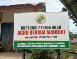 Jual Beli Plasma Sawit Fiktif Di Koperasi ASM Desa Seriam Rugikan Petani Lokal, Siapa Aktor Utamanya!!!