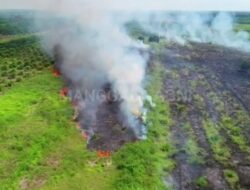 Masuki Hari Ke-4, 17,22 Hektar Habis Terbakar