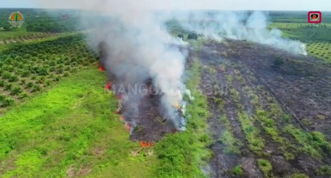Masuki hari ke 4, 17,22 Hektar habis terbakar