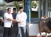 Sekda Alex Serahkan Hewan Qurban Ke Surau Darussalam