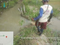 Sawah Way Tulung Balak Kebanjiran : Petani Merugi