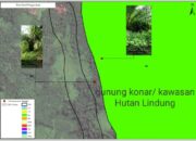 LSM Ampuh Tuding Kebun Sawit Milik Haji Jus Masuk Dalam Hutan Lindung