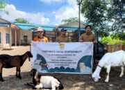 Hari Raya Idul Adha, CMI Salurkan 30 Hewan Qurban