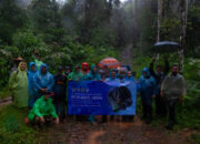 Mengantar 7 Kukang Jawa ke Gunung Koneng, Kawasan Taman Nasional Gunung Halimun Salak