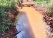 CPO Milik Sinar Mas Tumpah, Terindikasi Cemari Sungai