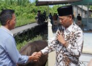 Rayakan Idul Adha, Pemda Ketapang Bagikan 17 Ekor Sapi Kurban Ke Masjid dan Mushola