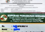 Dugaan Pembegalan Pengurus Koperasi Perkebunan Bersama Di Kendawangan