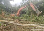 PT SMS Babat Ratusan Sawit dan Karet Warga, Pemdes Mensubang Amankan Kunci Excavator