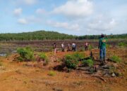 Zona Konservasi PDAM Kendawangan Dijadikan Kebun Sawit, Akibatkan Air Ledeng Tak Layak Konsumsi