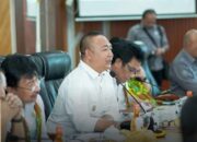 Bupati Ketapang Paparkan Kondisi Jalan Saat Rapat Bersama Komisi V DPR RI