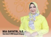 Dua Periode Duduki Kursi Dewan, Kekayaan Mia Gayatri Minus