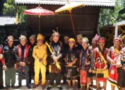 Ritual Adat Naik Jurongk di Ketapang, Mediasi Ungkapan Syukur dan Pelestarian Budaya Dayak