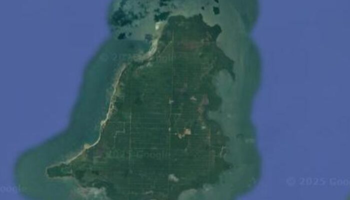 Aktivitas Perkebunan Sawit Tingkatkan Ekonomi Warga Pulau Bawal