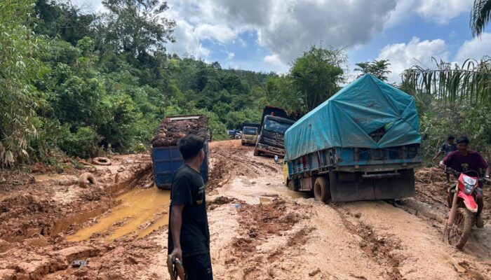 Ruas Jalan Provinsi di Ketapang Rusak Parah, Masyarakat Ketapang Teriak: Pemprov Kalbar dan DPRD Kalbar ke Mana