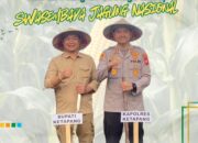 Bupati Ketapang Tanam Jagung Kuartal I Tahun 2026