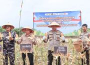 Sekda Ketapang Ikuti Panen Raya Jagung Serentak Nasional, Dukung Swasembada Pangan