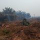 Keterangan Poto: Lahan Konsesi yang Terbakar